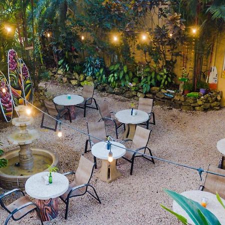 El Sano Banano Beachside Hotel مونتيزوما المظهر الخارجي الصورة