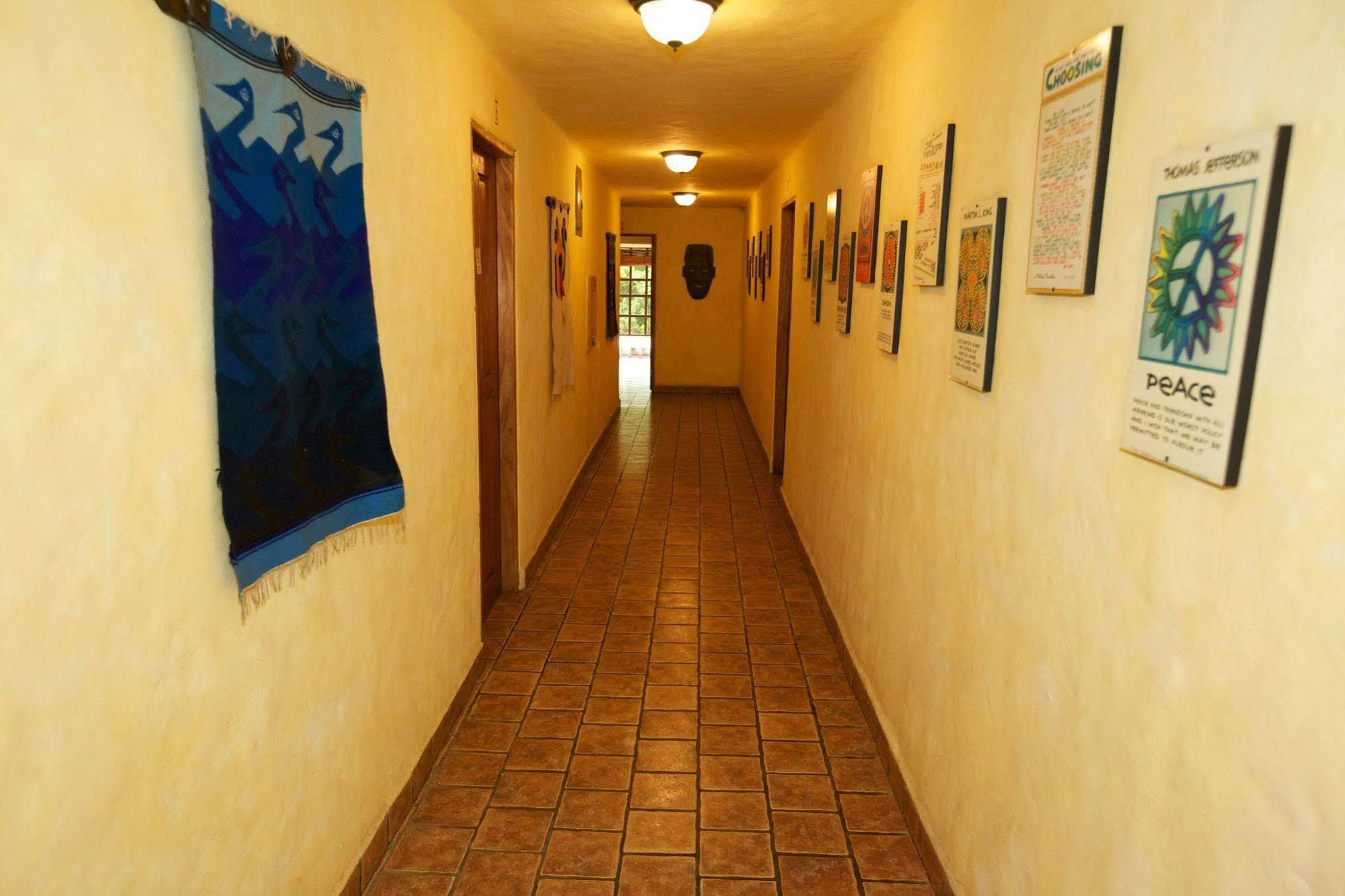 El Sano Banano Beachside Hotel مونتيزوما المظهر الخارجي الصورة