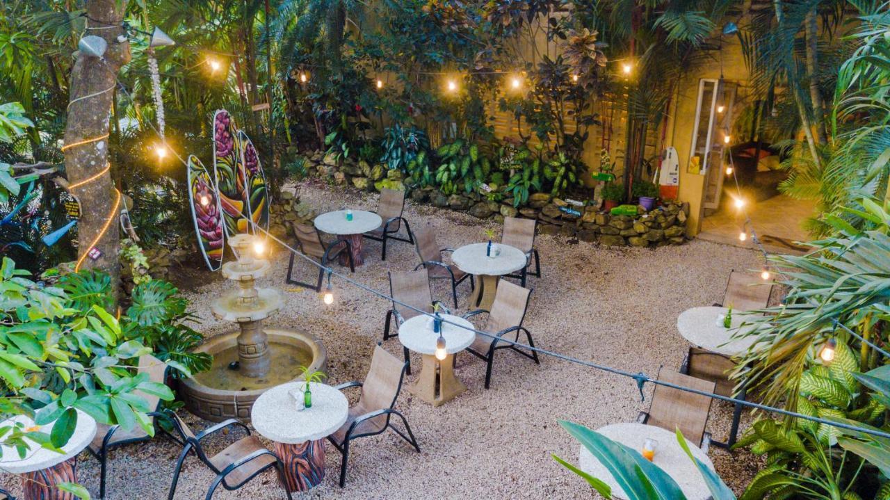 El Sano Banano Beachside Hotel مونتيزوما المظهر الخارجي الصورة